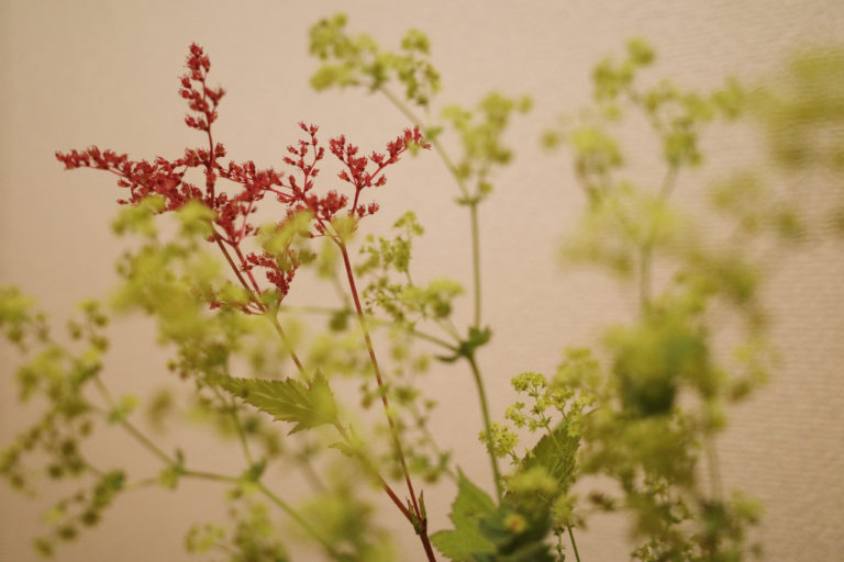 七月四日 / July 4th, 2021